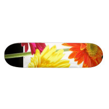 Gerbera-Gänseblümchen Skateboarddecks