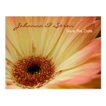 Gerbera • Save-the-Date-Postkarte