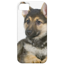 german shepherd pup puppy dog iPhone 5 covers
