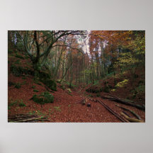 GermanForest Plakat