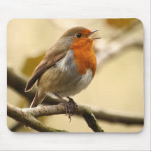 Gesang Robin Mauspads