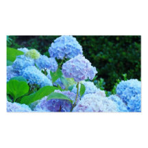 Geschäfts-Kartenblaue Hydrangea-Blumen mit Blumen Visitenkarten
