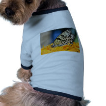 GESCHENK HUNDEBEKLEIDUNG