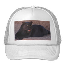 GESCHENK KULTKAPPE