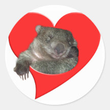 Geschenke des Valentines Tages, Wombat Liebe! Aufkleber