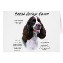 Geschichtsentwurf englischer Springerspaniel-(Lebe Karte