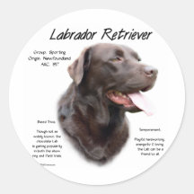 Geschichtsentwurf Labrador retrievers (Schokolade) Sticker