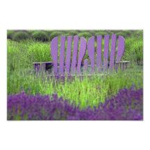Gesetzt in der Farbe Kunst Foto