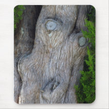 Gesicht im Zypresse-Baum Mauspads