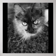 Gespenstisch die Katze Plakat