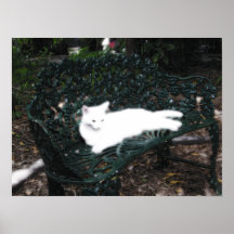 Gespenstische Miezekatze Posterdrucke