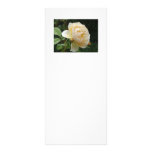 Gestell-Karte - schöne Rose Werbekarten