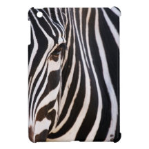 Gestreifter Schwarzweiss-zebra