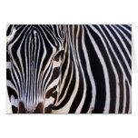 Gestreifter Schwarzweiss-zebra Grußkarten