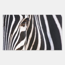 Gestreifter Schwarzweiss-zebra Sticker