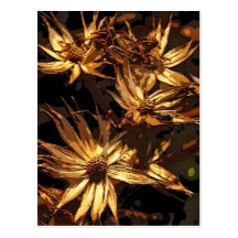 Getrocknete Blume abstrakt Postkarte