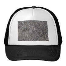 Getrocknete Kiefer verlässt Hintergrund-Muster Baseballcap