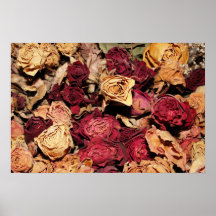 Getrocknete Rosen Plakat