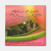 Gewohnheits-Save the Date Magneten für Hochzeiten