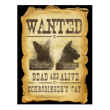 Gewollte Tote und lebendig.  Schroedingers Katze Postkarte