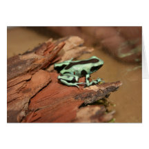 Giftpfeilfrosch Karte