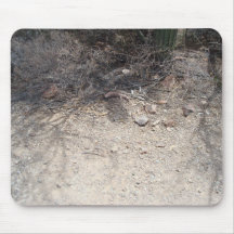 Gila-Krustenechse Mousepad