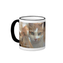 ginger2fhdr, ginger5fhdr, ginger1fhdr, ginger4f… tee tassen