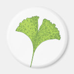 Gingko-Magnet Kühlschrankmagnet