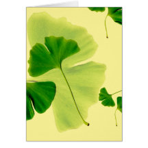 Ginkgo-Blätter Grußkarte