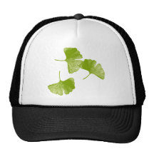 Ginkgo-Blätter Netz Caps
