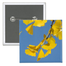 Ginkgo Buttons