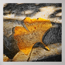 Ginkgoblatt Posterdrucke