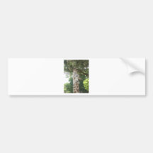 Giraffe, die Blatt isst Autosticker