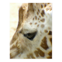 Giraffe I Postkarte