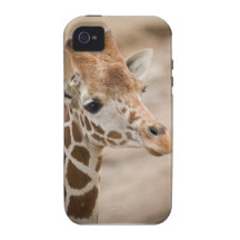 Giraffe iPhone 4/4S Case