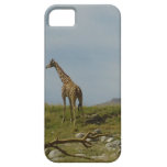 Giraffe iPhone 5 Schutzhülle