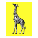 Giraffe Postkarten
