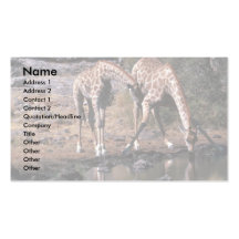 Giraffe - trinkend visitenkarten vorlage
