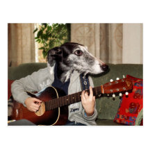 Gitarrenhund Postkarte