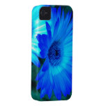 Glänzender blaues Gänseblümchen iPhone 4 Kasten iPhone 4 Hüllen