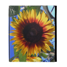 Glänzender Sonnenblume iPad Folio-Kasten