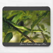 Glatte grüne Schlange Mousepad