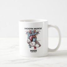 Glatter Muskel-Innere (die Anatomie-Herz des Graus Kaffeehaferl