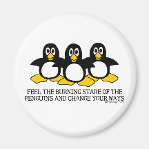 Glauben Sie den brennenden Starren der Pinguine Kühlschrankmagnete
