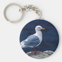 Glaucous Möve Schlüsselband