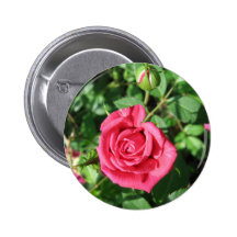Glückliche alte Rose Anstecknadel