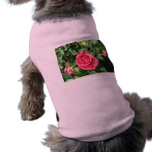 Glückliche alte Rose Haustierklamotten