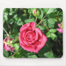 Glückliche alte Rose Mousepads