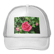 Glückliche alte Rose Mützen