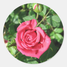 Glückliche alte Rose Runder Sticker